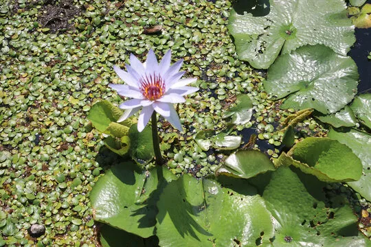 哈希分分彩直播